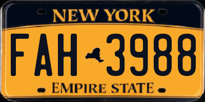 NY license plate FAH3988