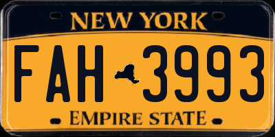 NY license plate FAH3993