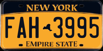 NY license plate FAH3995