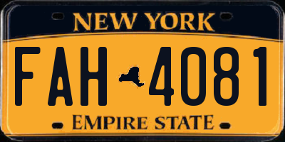 NY license plate FAH4081