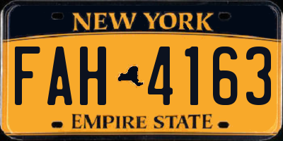 NY license plate FAH4163