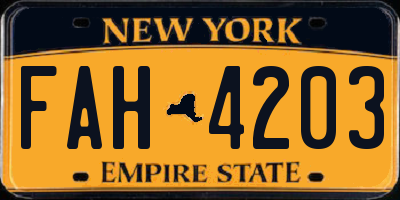 NY license plate FAH4203