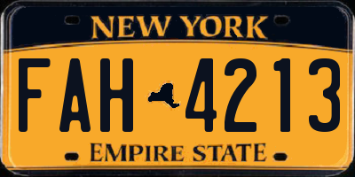 NY license plate FAH4213