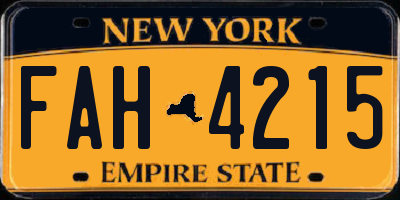NY license plate FAH4215