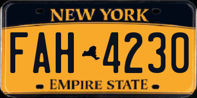 NY license plate FAH4230