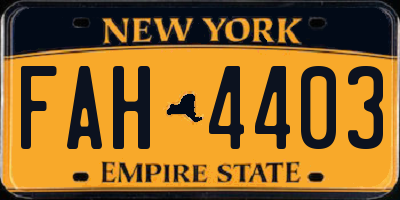 NY license plate FAH4403