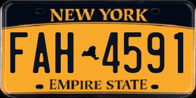 NY license plate FAH4591