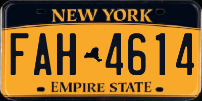 NY license plate FAH4614