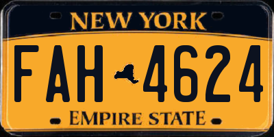 NY license plate FAH4624