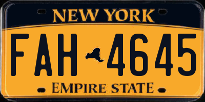 NY license plate FAH4645
