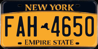 NY license plate FAH4650