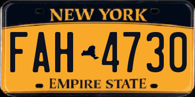 NY license plate FAH4730
