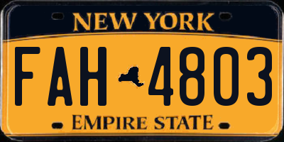 NY license plate FAH4803