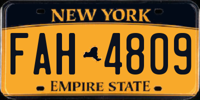 NY license plate FAH4809