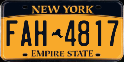 NY license plate FAH4817