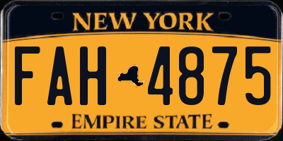 NY license plate FAH4875