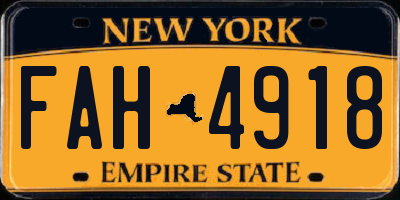 NY license plate FAH4918