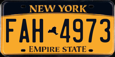 NY license plate FAH4973