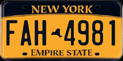 NY license plate FAH4981