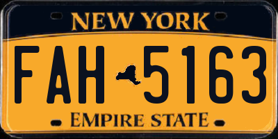 NY license plate FAH5163
