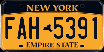 NY license plate FAH5391