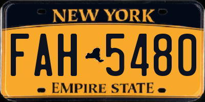 NY license plate FAH5480