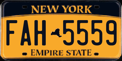 NY license plate FAH5559