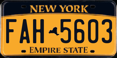 NY license plate FAH5603