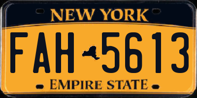 NY license plate FAH5613