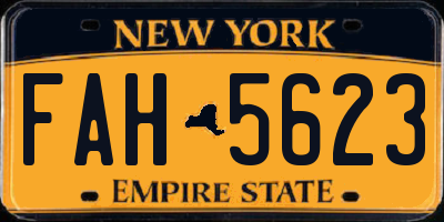 NY license plate FAH5623
