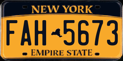 NY license plate FAH5673