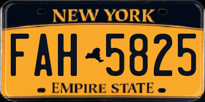 NY license plate FAH5825