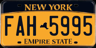 NY license plate FAH5995