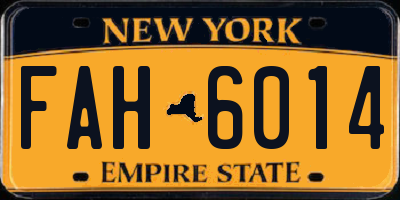 NY license plate FAH6014