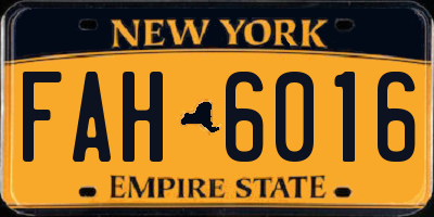 NY license plate FAH6016