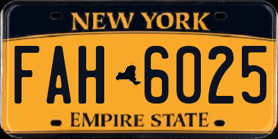 NY license plate FAH6025