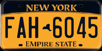 NY license plate FAH6045