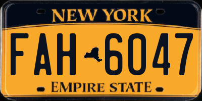 NY license plate FAH6047