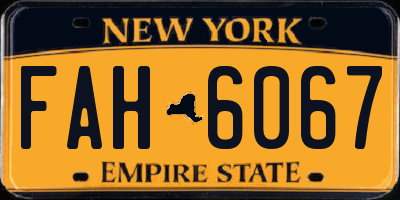 NY license plate FAH6067