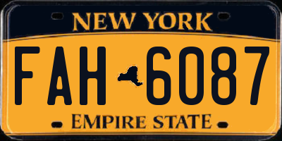 NY license plate FAH6087