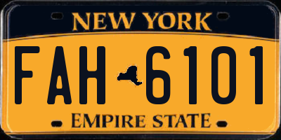 NY license plate FAH6101
