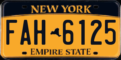 NY license plate FAH6125