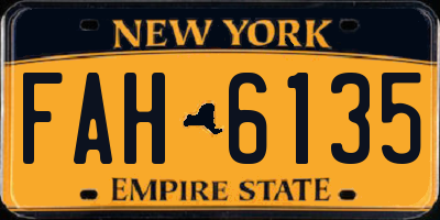 NY license plate FAH6135