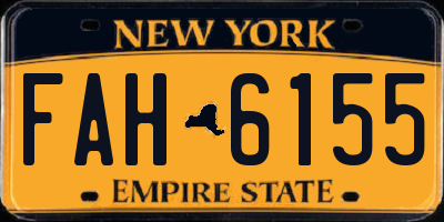 NY license plate FAH6155