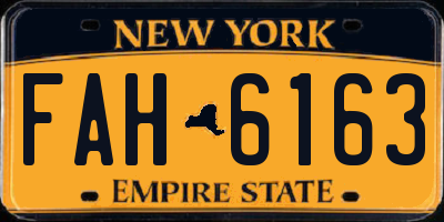 NY license plate FAH6163