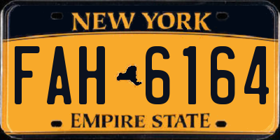 NY license plate FAH6164