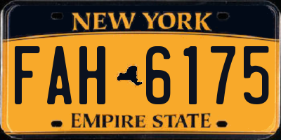 NY license plate FAH6175