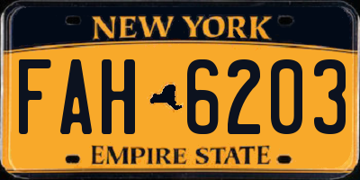 NY license plate FAH6203