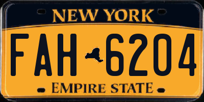 NY license plate FAH6204