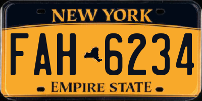 NY license plate FAH6234